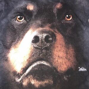 The Mountain ‘Vincent Hie’ Graphic Tee 🐶